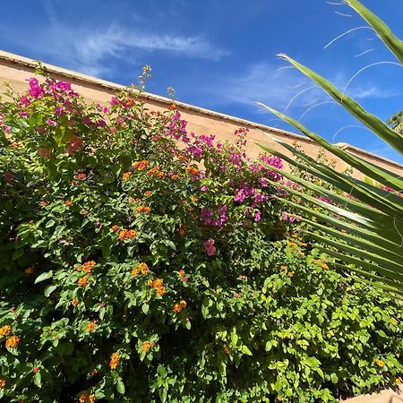 Riad Zouhour Marakéš Exteriér fotografie