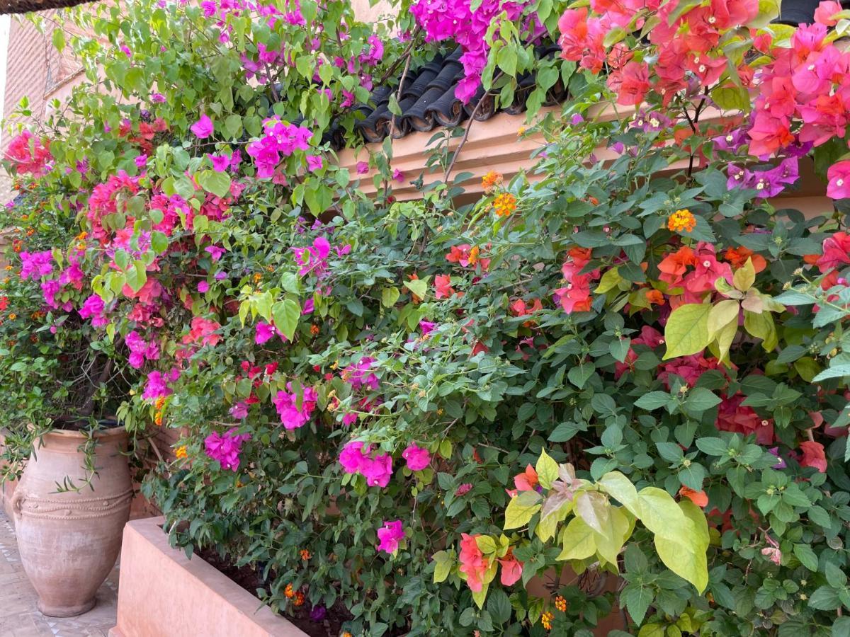 Riad Zouhour Marakéš Exteriér fotografie