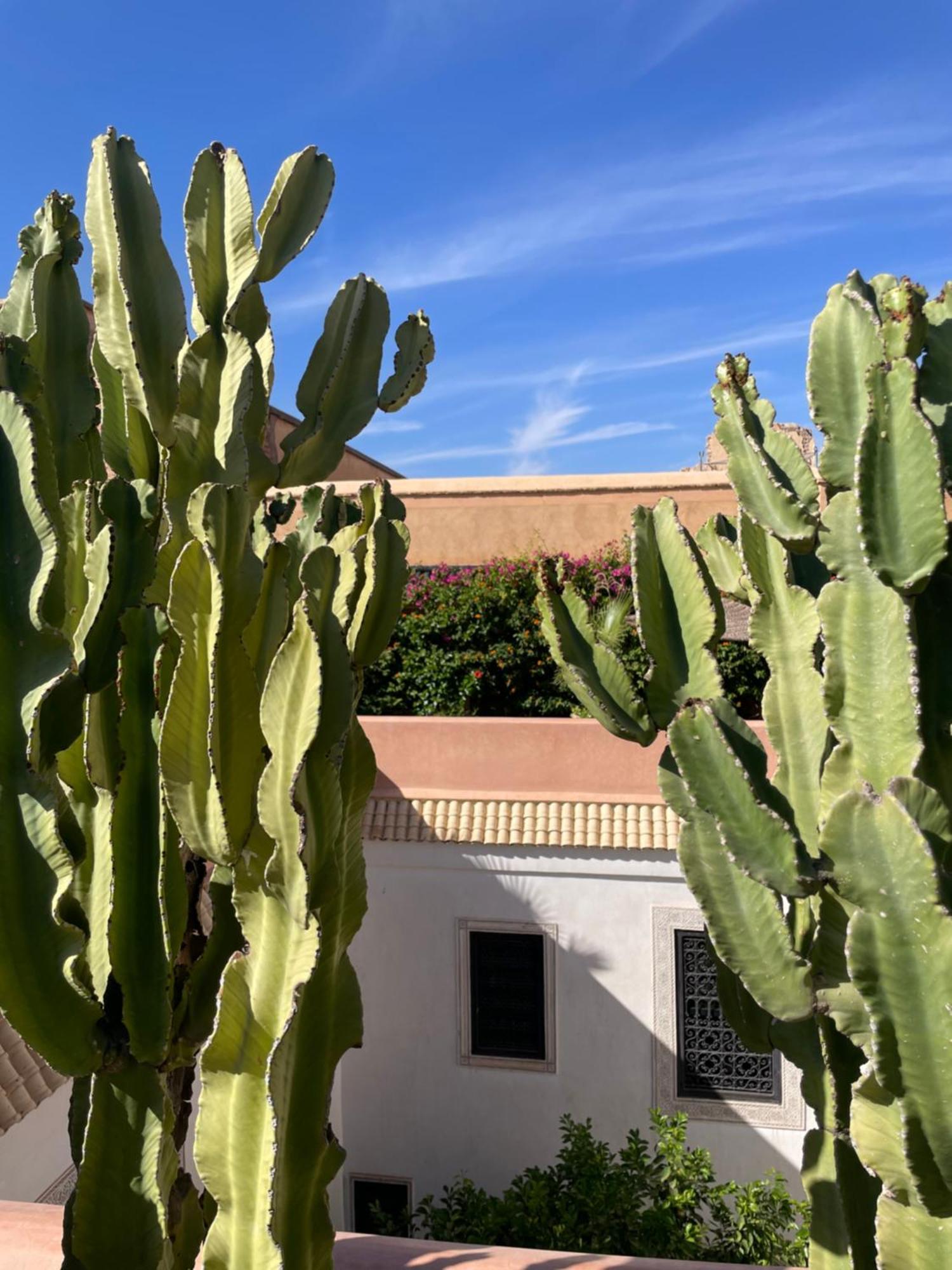 Riad Zouhour Marakéš Exteriér fotografie