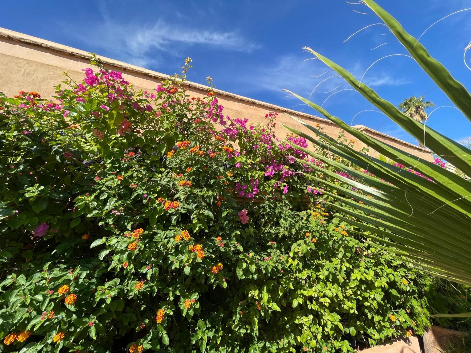 Riad Zouhour Marakéš Exteriér fotografie