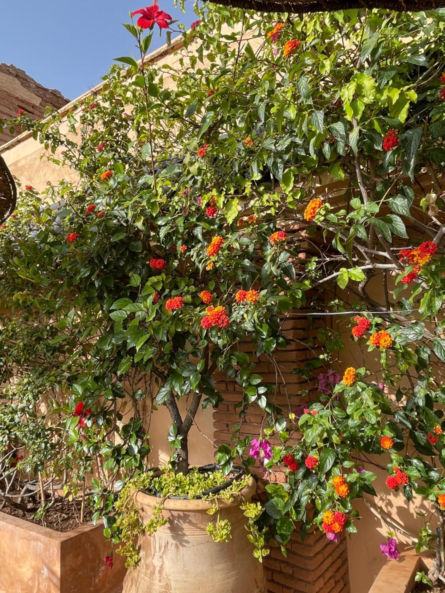 Riad Zouhour Marakéš Exteriér fotografie